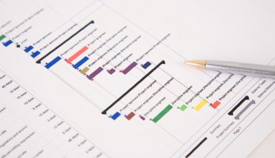 Project Timelines